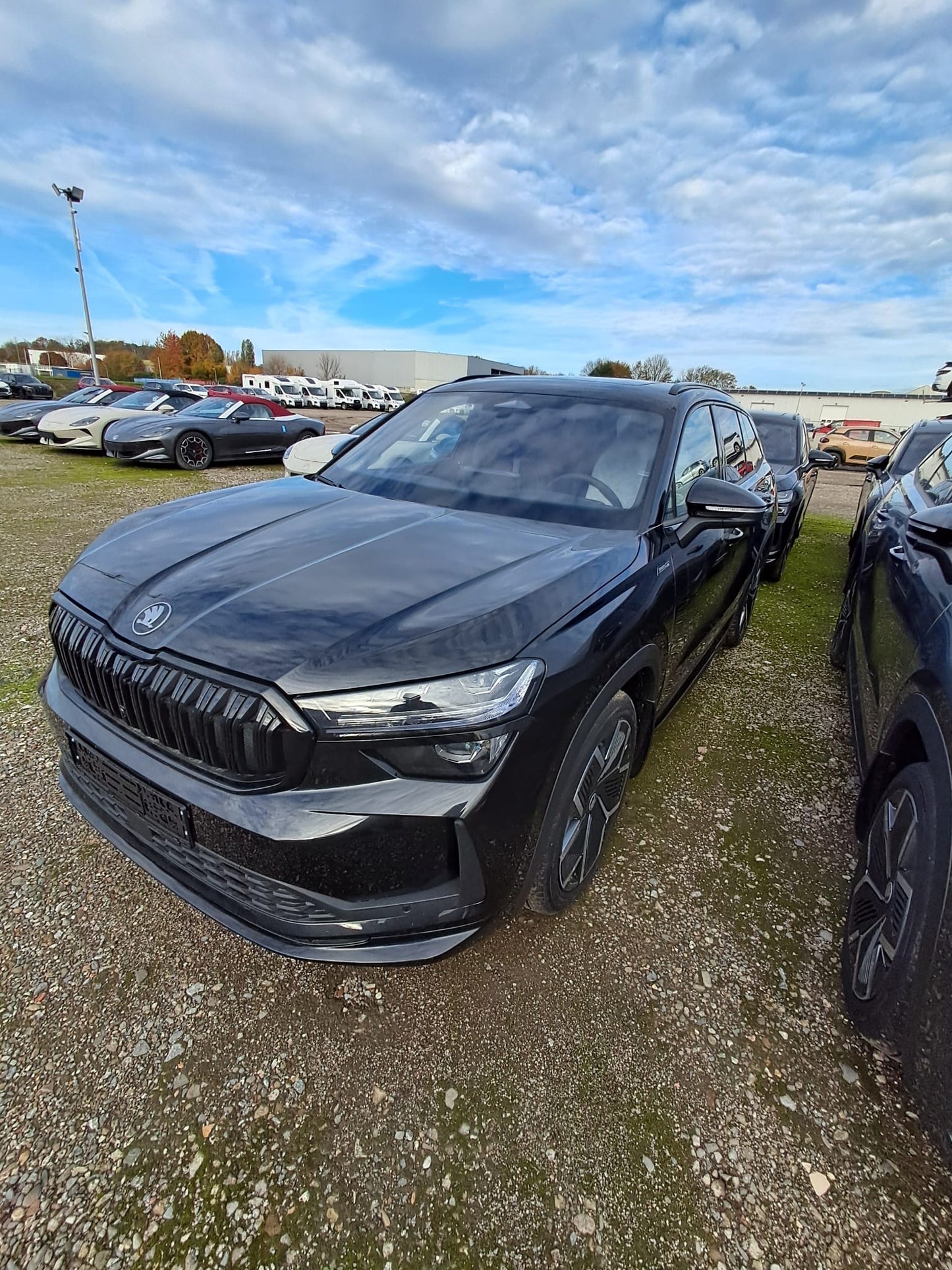 NOUVEAU Kodiak SPORTLINE 2.0 TDI 193 ch. 4x4 DSG avec 7 sièges Export Algérie